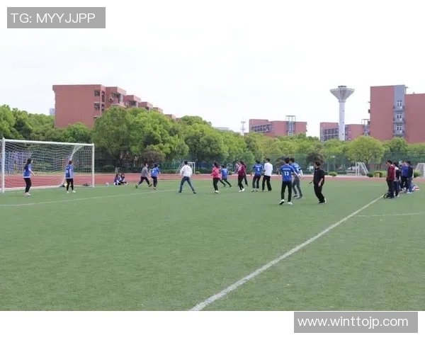 南京飞盘队个人能力深度解析与发展潜力探讨