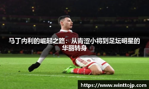 马丁内利的崛起之路：从青涩小将到足坛明星的华丽转身